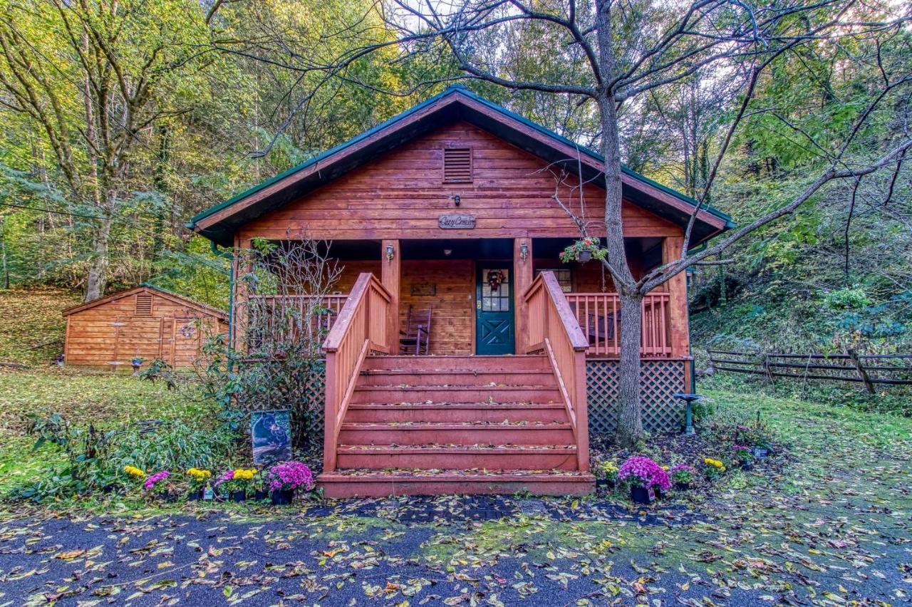 Cozy Creek Cabin 비둘기 포지 외부 사진