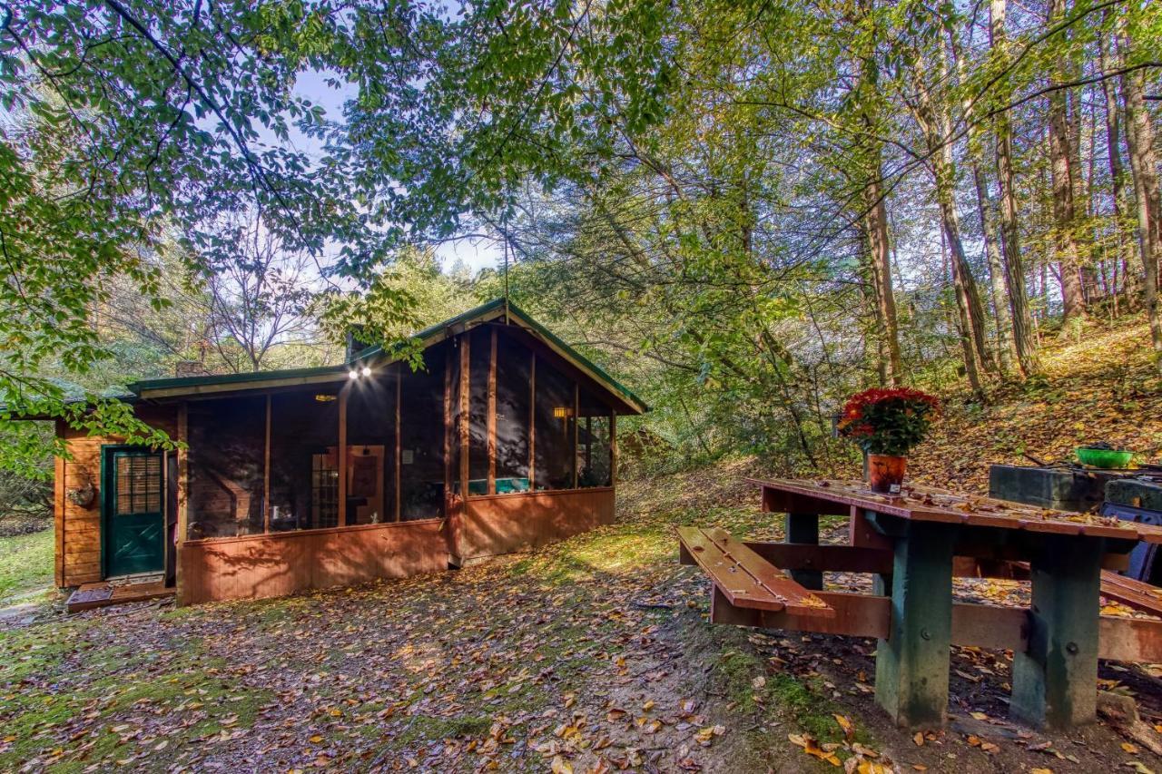 Cozy Creek Cabin 비둘기 포지 외부 사진