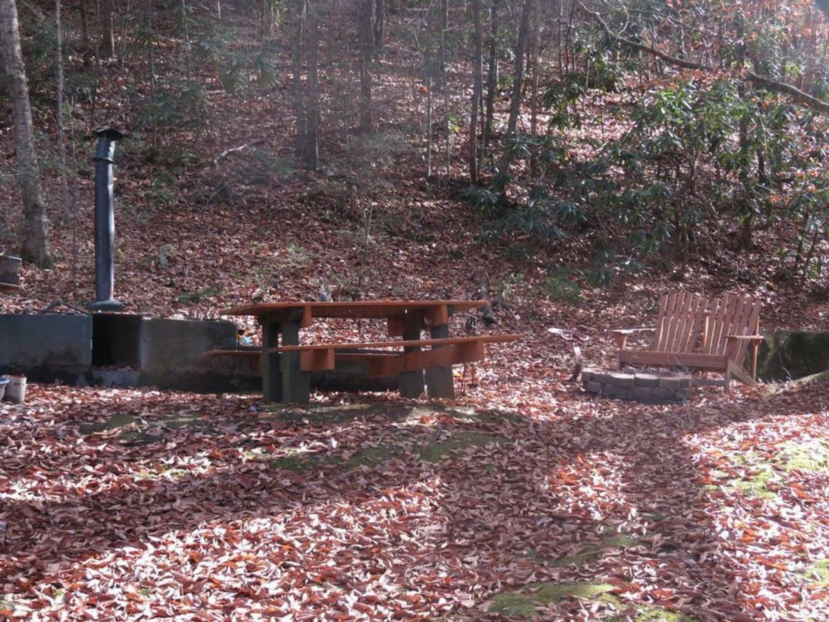 Cozy Creek Cabin 비둘기 포지 외부 사진